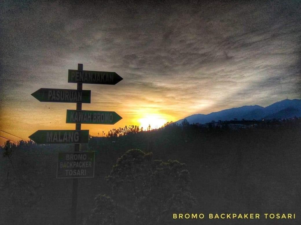 Bromo Backpacker Tosari Lägenhet Pasuruan Exteriör bild