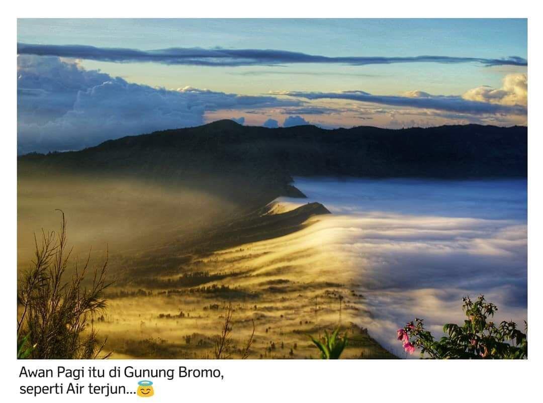 Bromo Backpacker Tosari Lägenhet Pasuruan Exteriör bild
