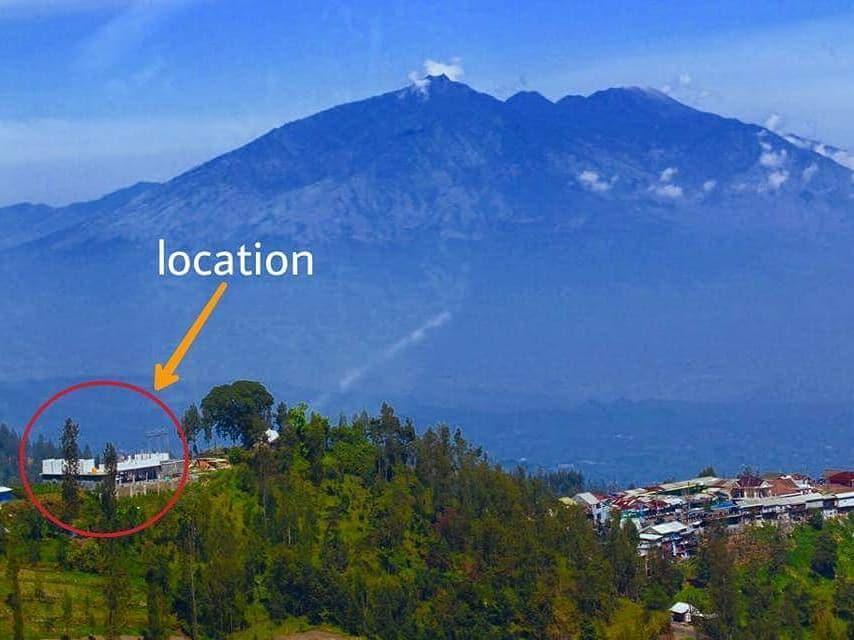 Bromo Backpacker Tosari Lägenhet Pasuruan Exteriör bild